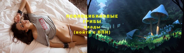 эйфоретик Алзамай