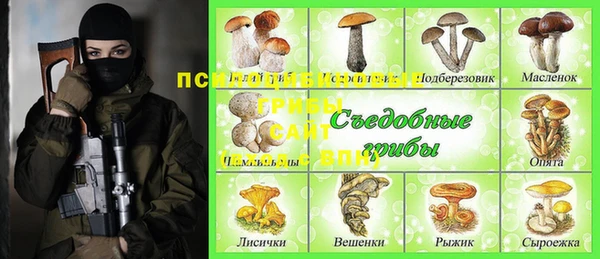 эйфоретик Алзамай